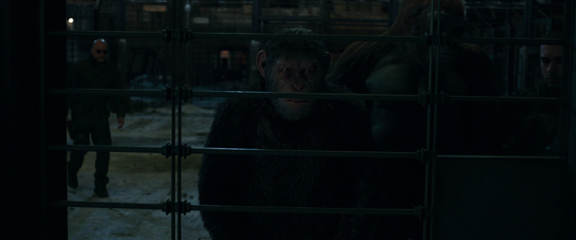 War for the Planet of the Apes (2017) movie still 7621