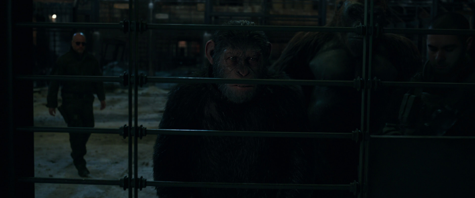War for the Planet of the Apes (2017) HD screenshot 7622