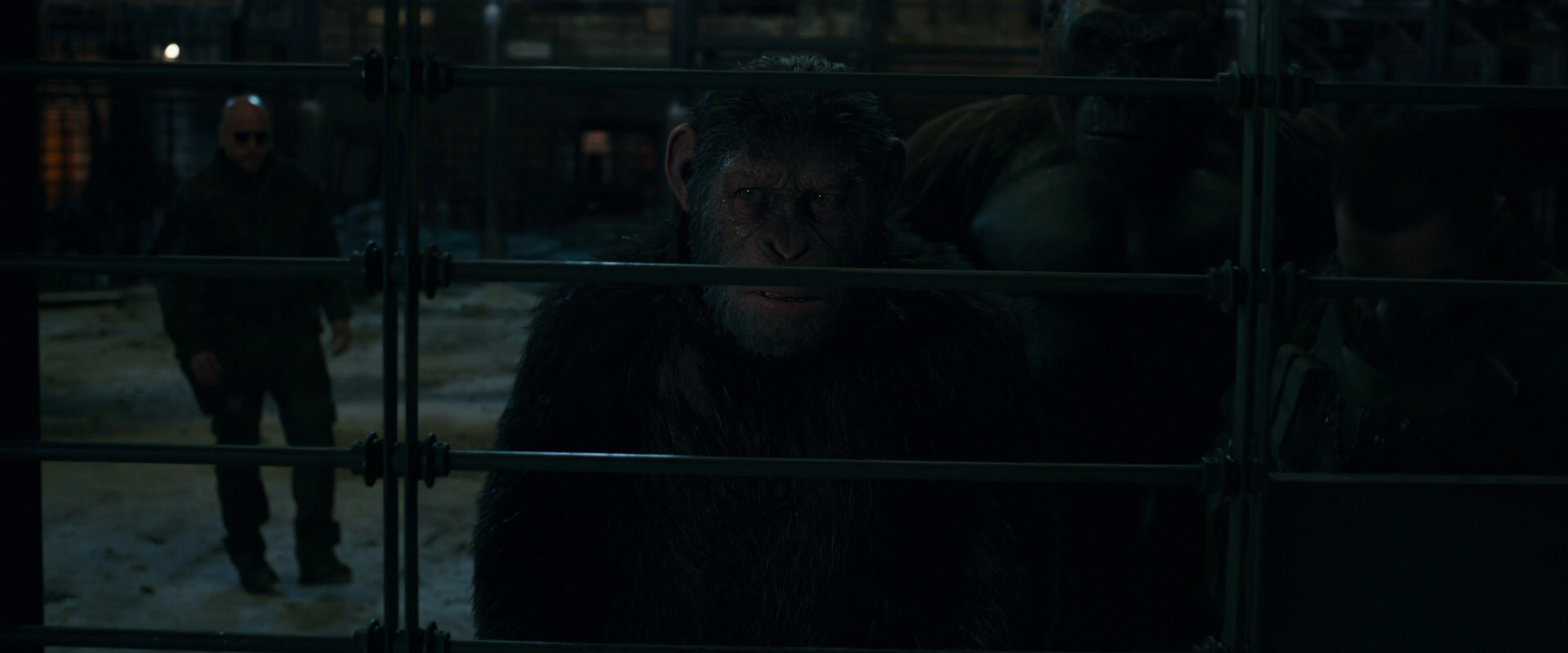 War for the Planet of the Apes (2017) screencap 7623
