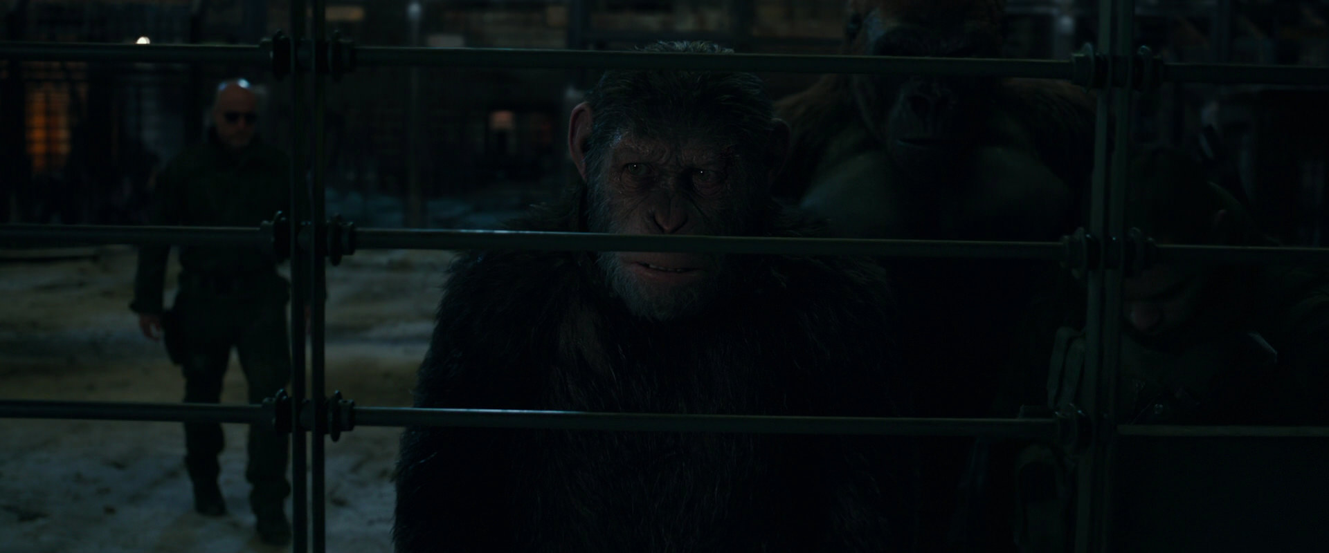 War for the Planet of the Apes (2017) movie still 7624