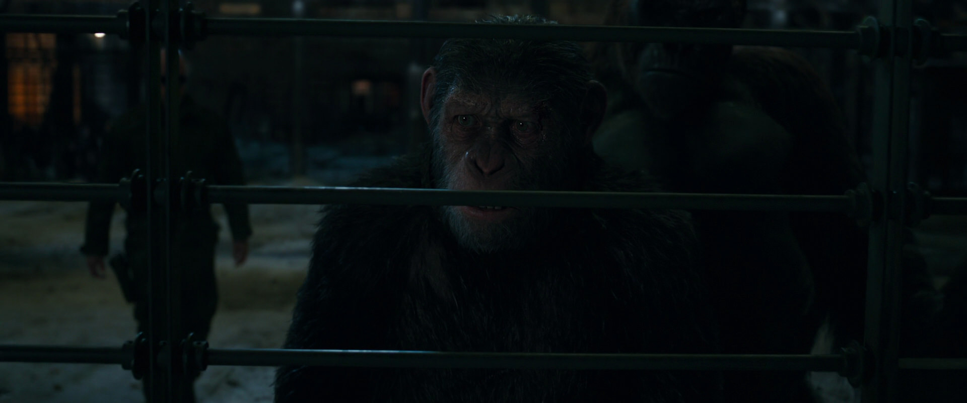 War for the Planet of the Apes (2017) screencap 7626