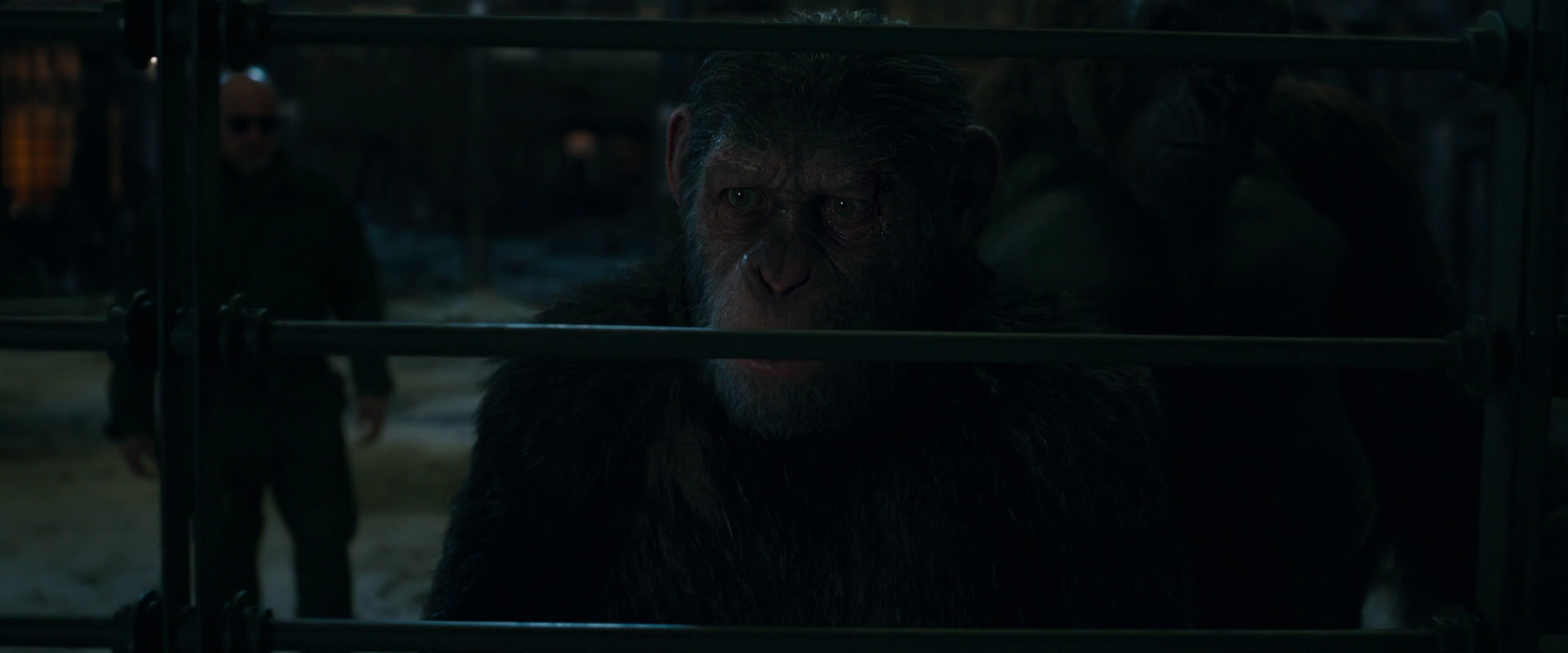 War for the Planet of the Apes (2017) movie still 7627