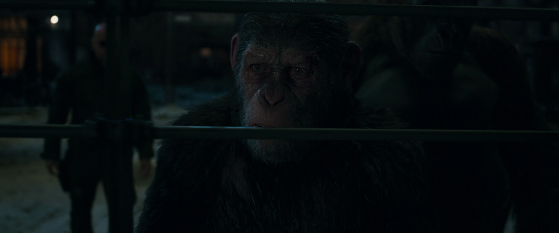 War for the Planet of the Apes (2017) HD screenshot 7628