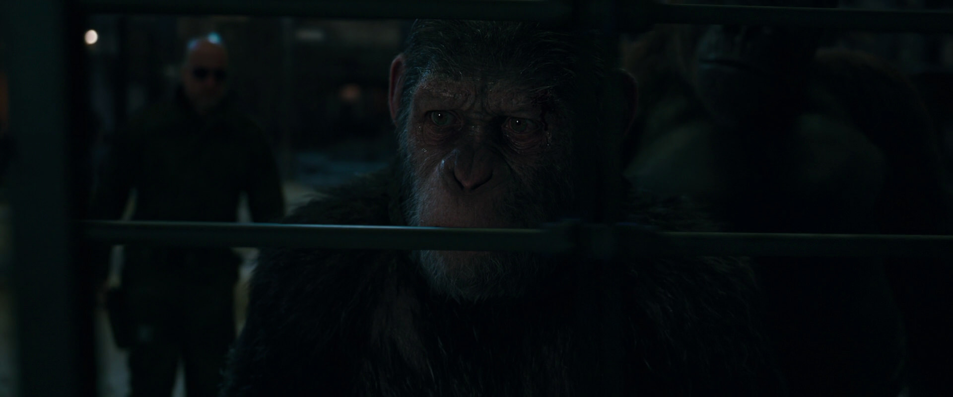 War for the Planet of the Apes (2017) screencap 7629