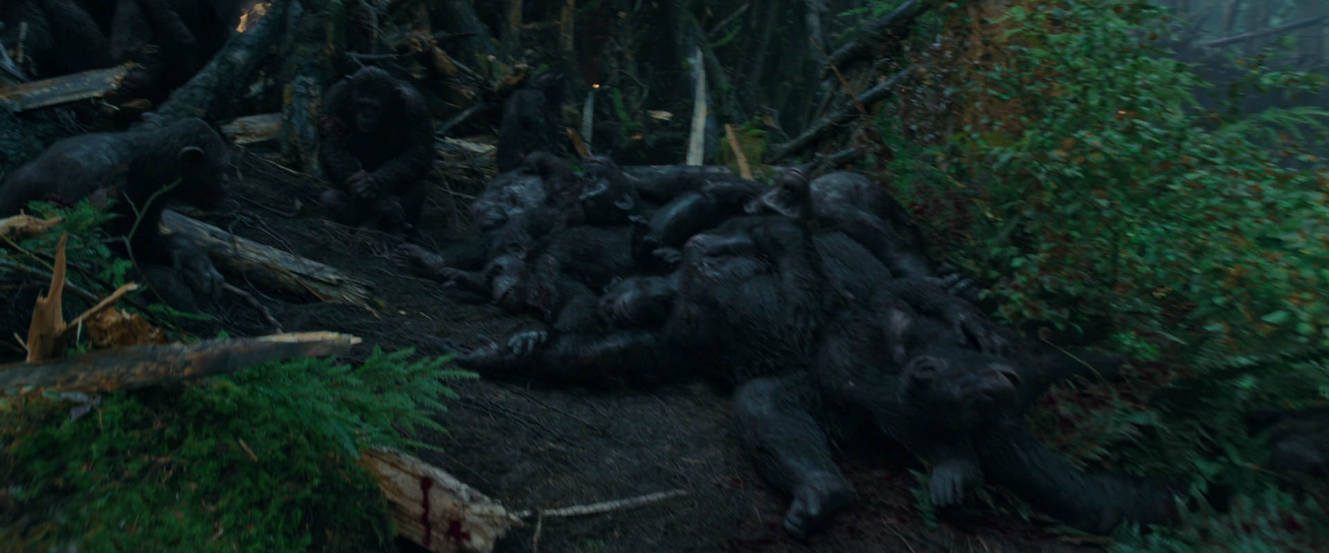 War for the Planet of the Apes (2017) movie still 763