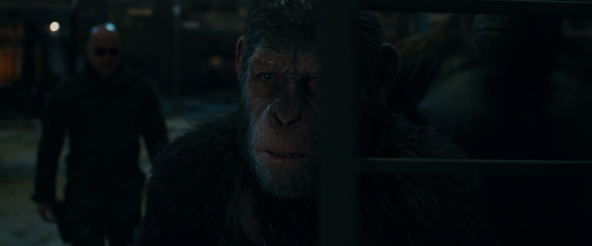 War for the Planet of the Apes (2017) movie still 7630