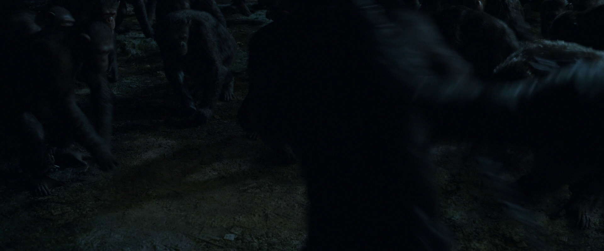 War for the Planet of the Apes (2017) movie still 7633