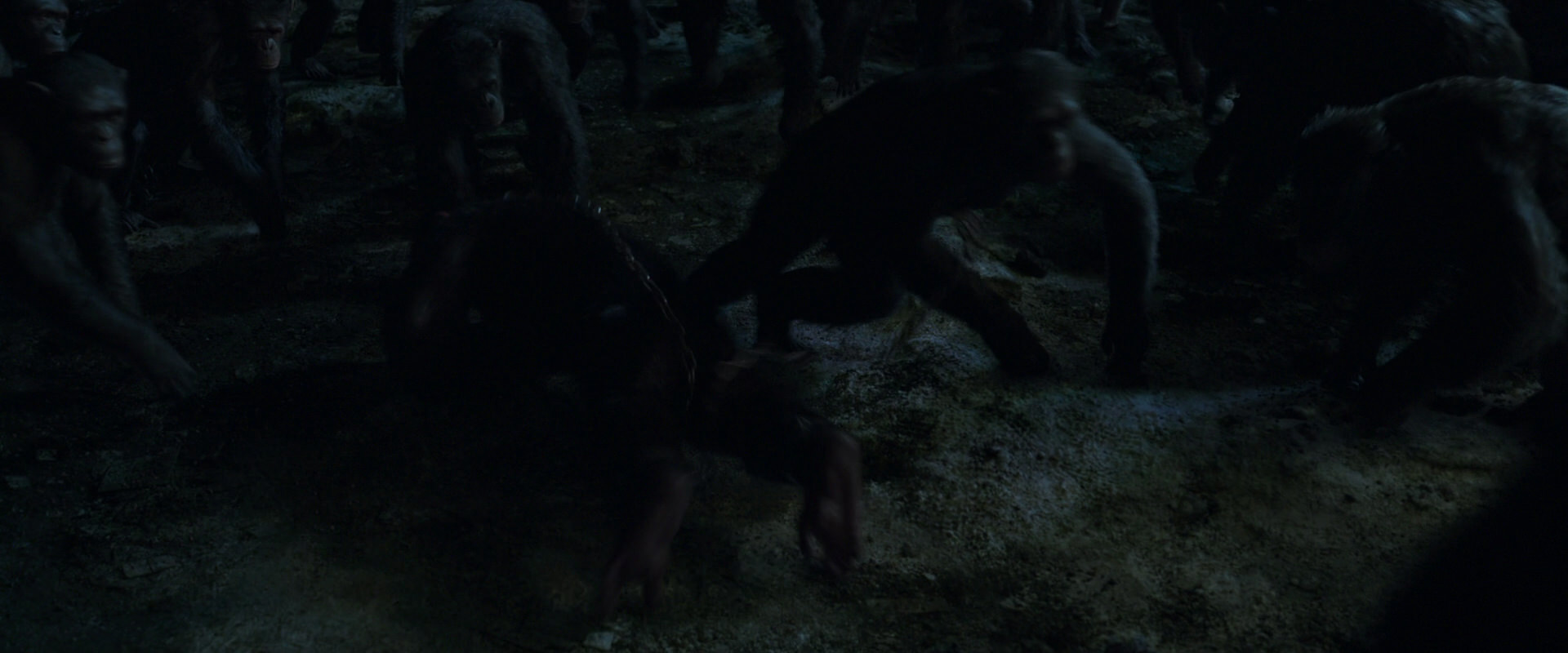 War for the Planet of the Apes (2017) HD screenshot 7634