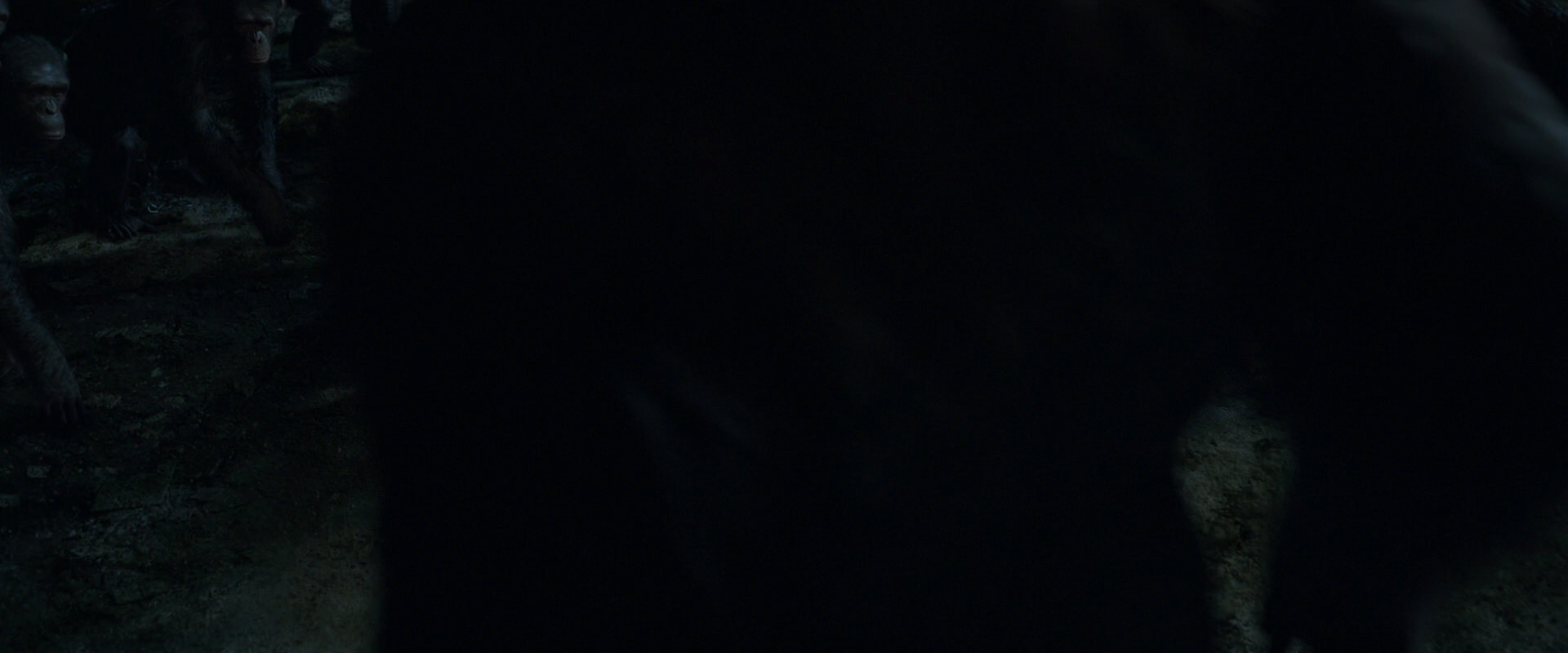 War for the Planet of the Apes (2017) screencap 7635