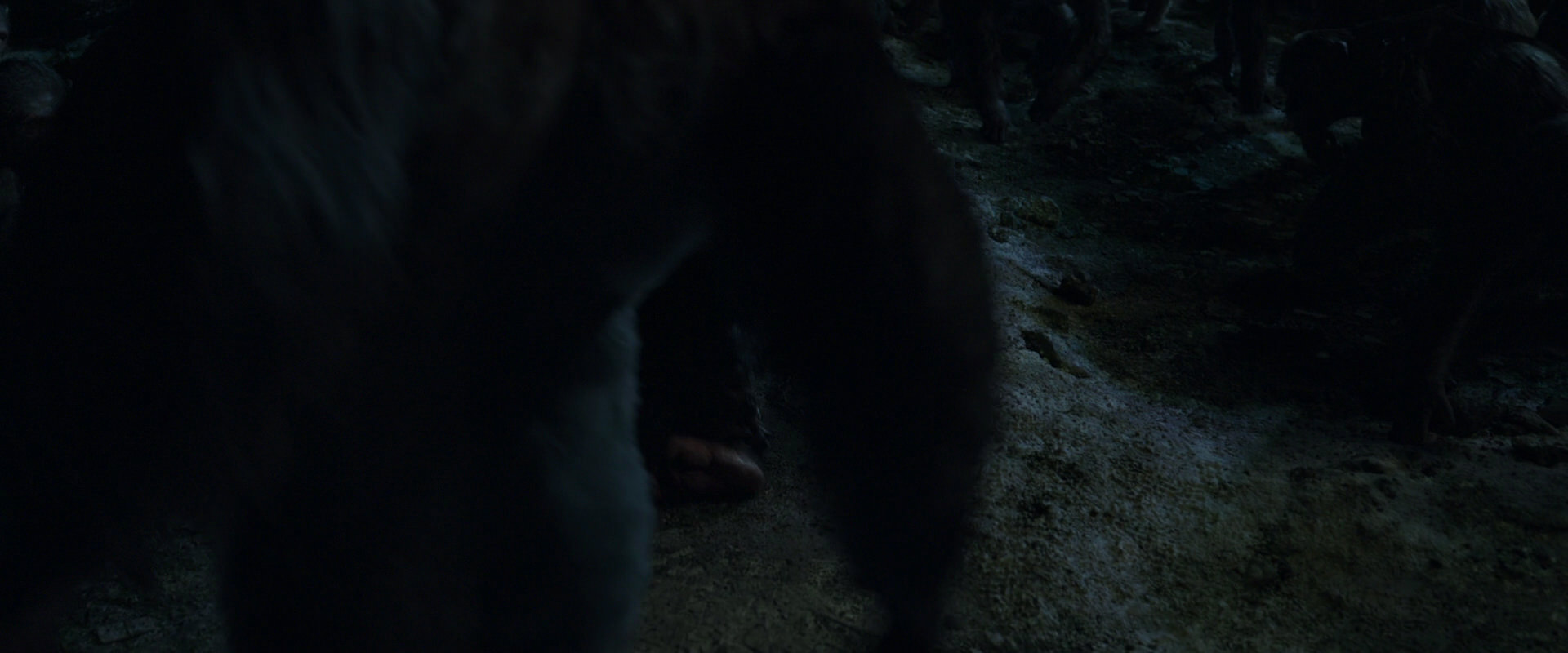War for the Planet of the Apes (2017) movie still 7636