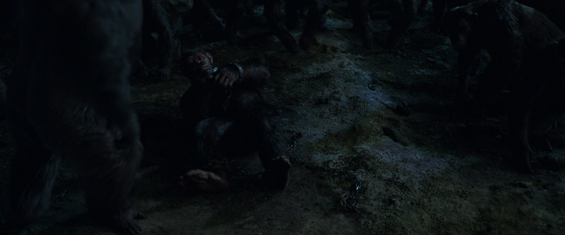 War for the Planet of the Apes (2017) screencap 7638