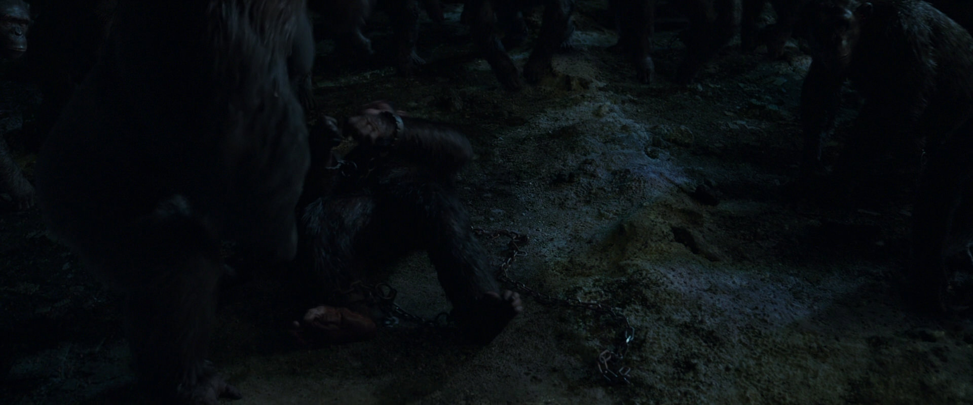 War for the Planet of the Apes (2017) movie still 7639