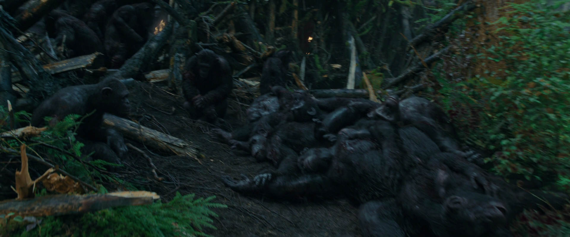 War for the Planet of the Apes (2017) HD screenshot 764
