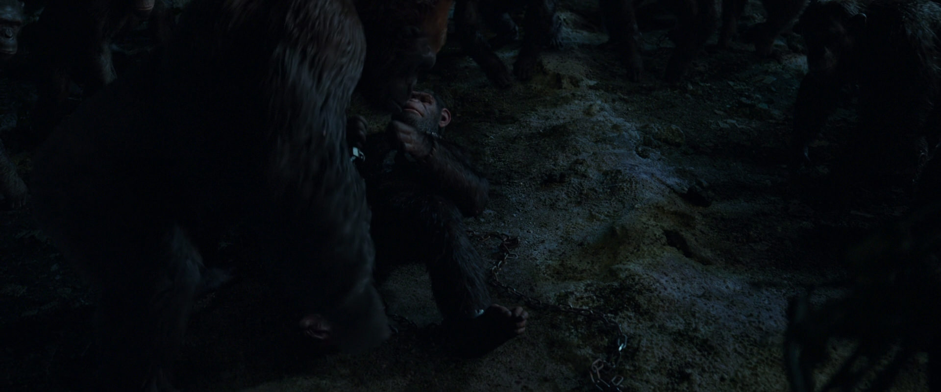 War for the Planet of the Apes (2017) HD screenshot 7640
