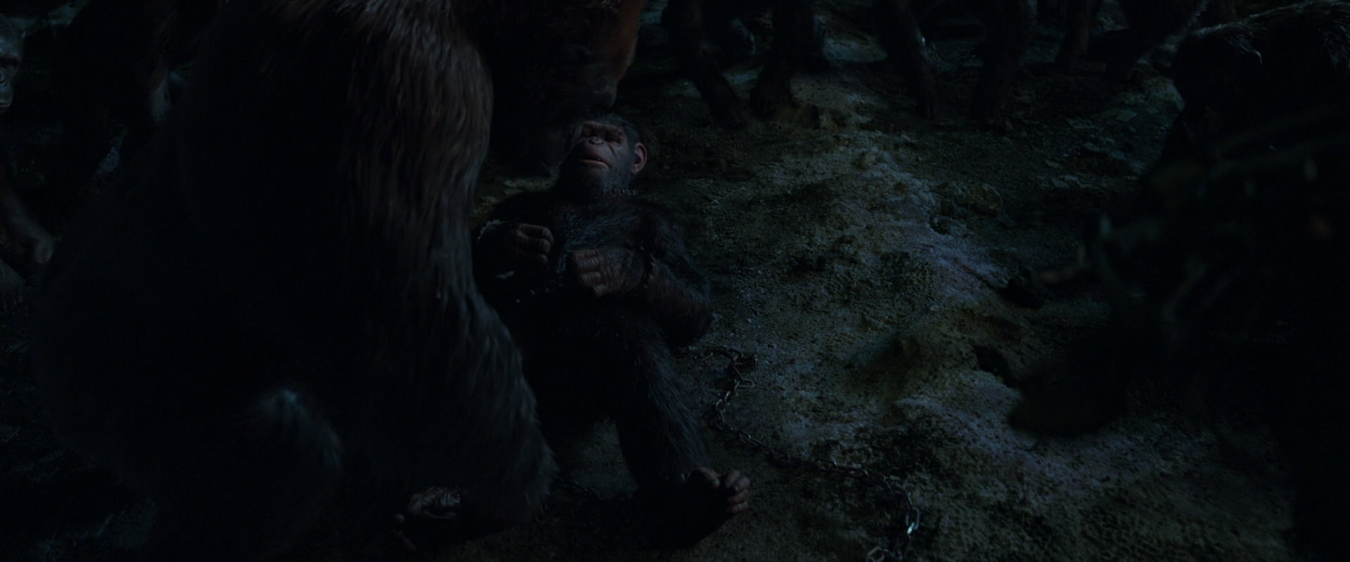 War for the Planet of the Apes (2017) screencap 7641