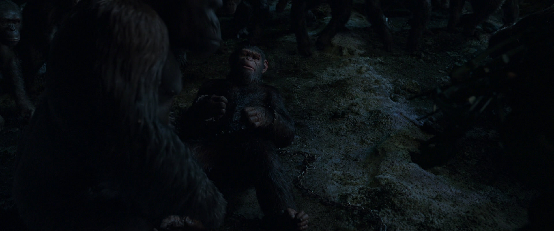War for the Planet of the Apes (2017) movie still 7642