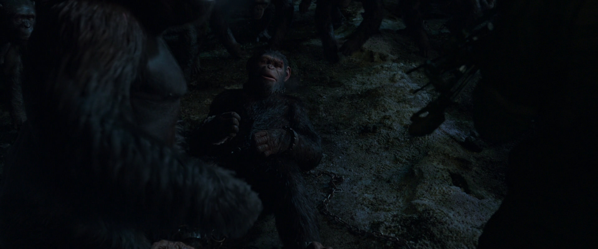 War for the Planet of the Apes (2017) HD screenshot 7643