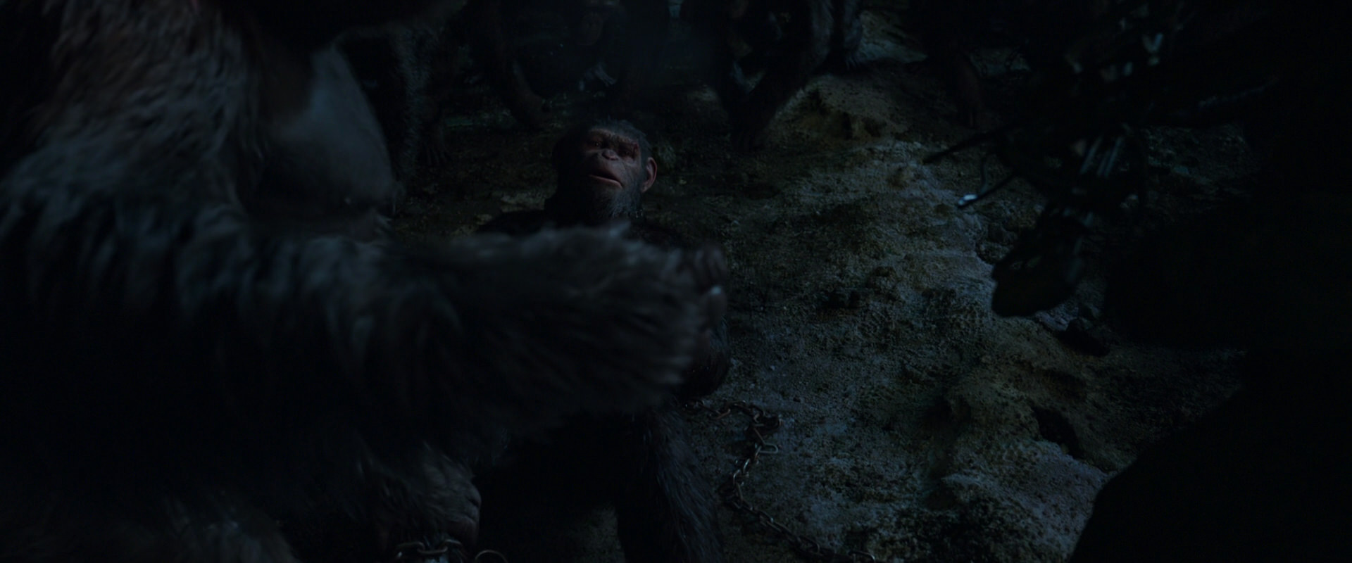 War for the Planet of the Apes (2017) screencap 7644