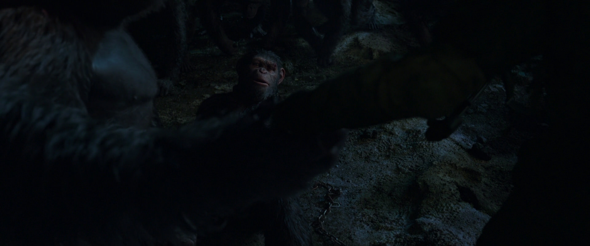 War for the Planet of the Apes (2017) movie still 7645