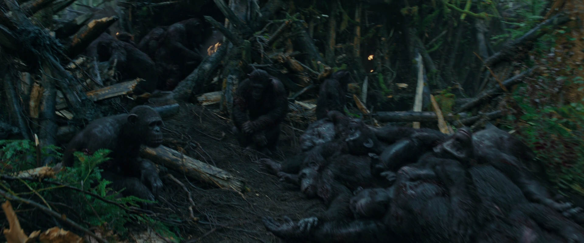 War for the Planet of the Apes (2017) screencap 765