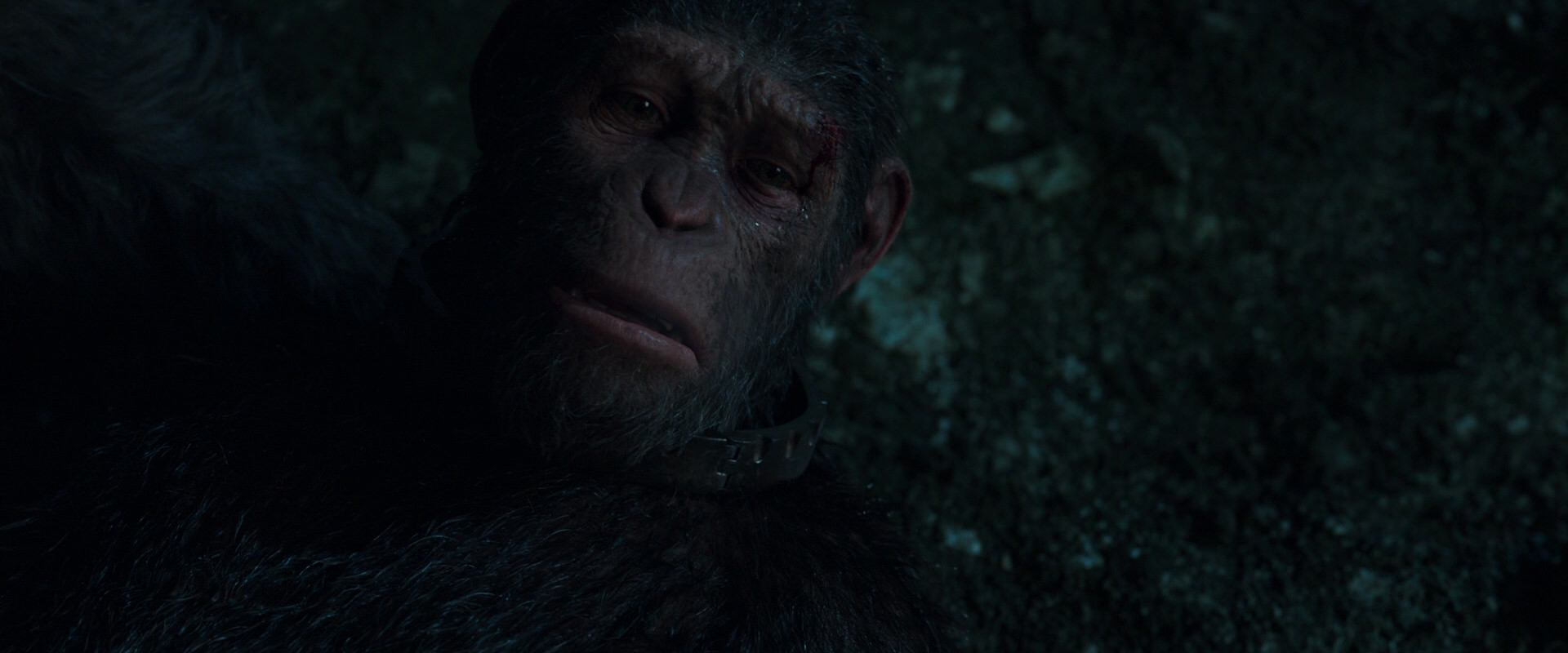 War for the Planet of the Apes (2017) HD screenshot 7652
