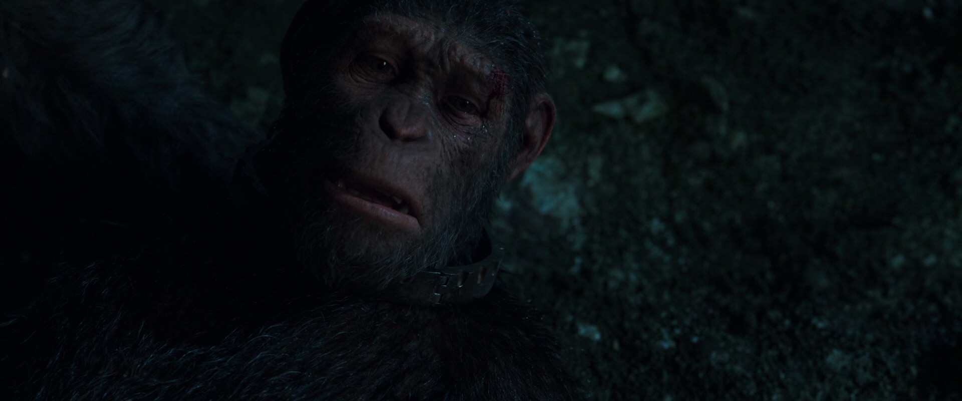 War for the Planet of the Apes (2017) screencap 7653