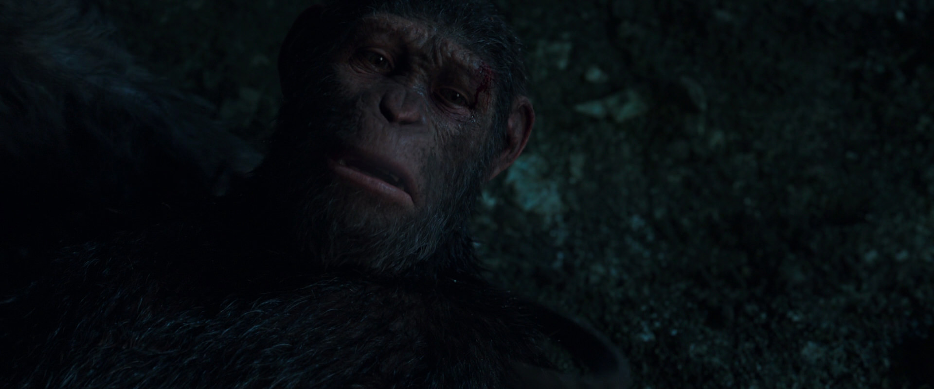 War for the Planet of the Apes (2017) movie still 7654