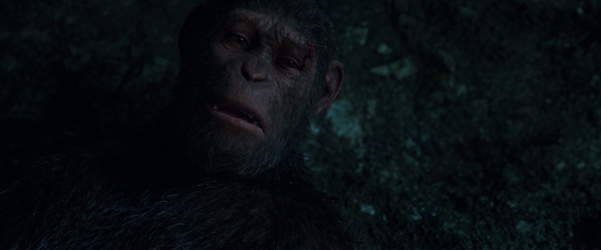 War for the Planet of the Apes (2017) HD screenshot 7655