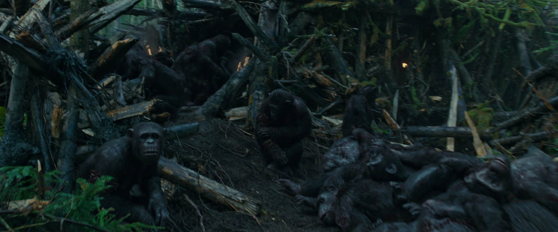 War for the Planet of the Apes (2017) movie still 766