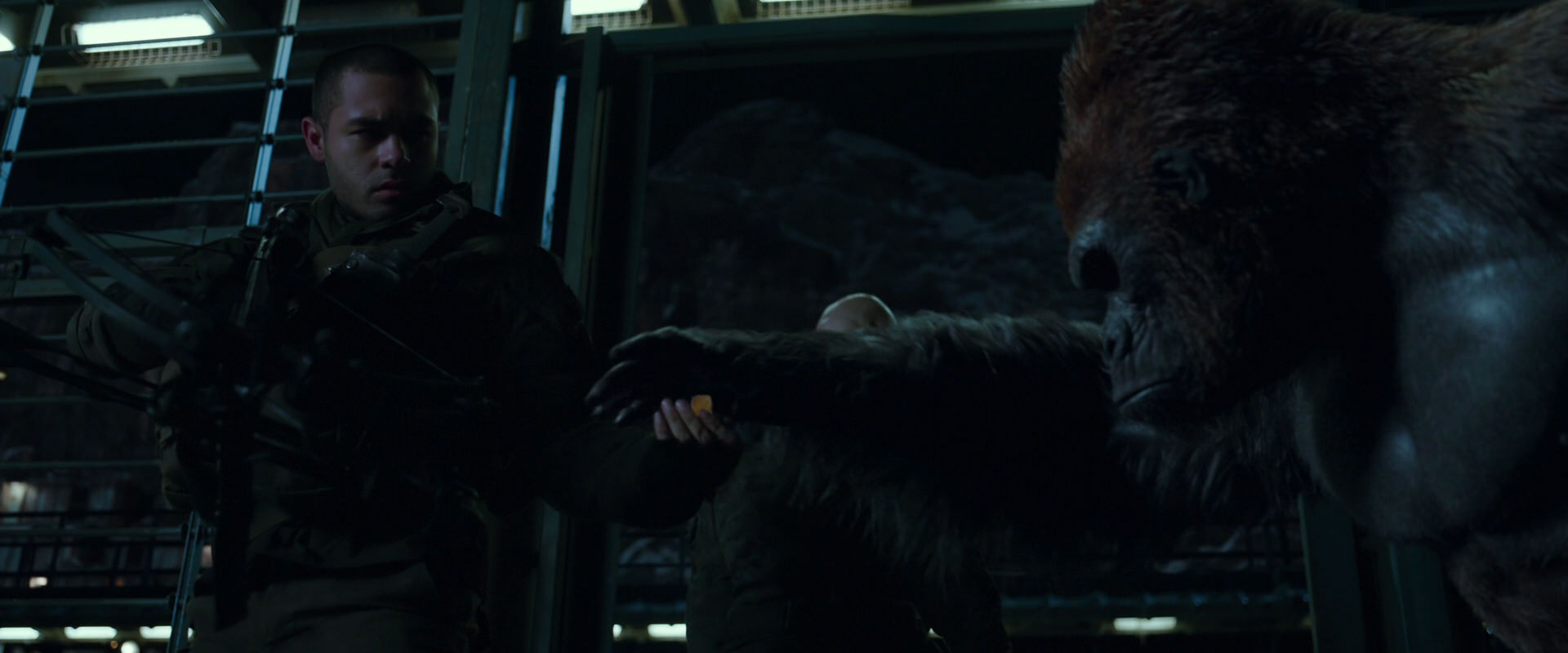 War for the Planet of the Apes (2017) screencap 7662