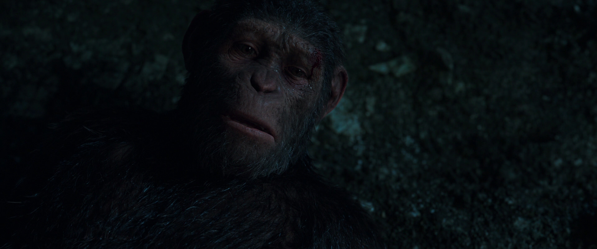 War for the Planet of the Apes (2017) HD screenshot 7664