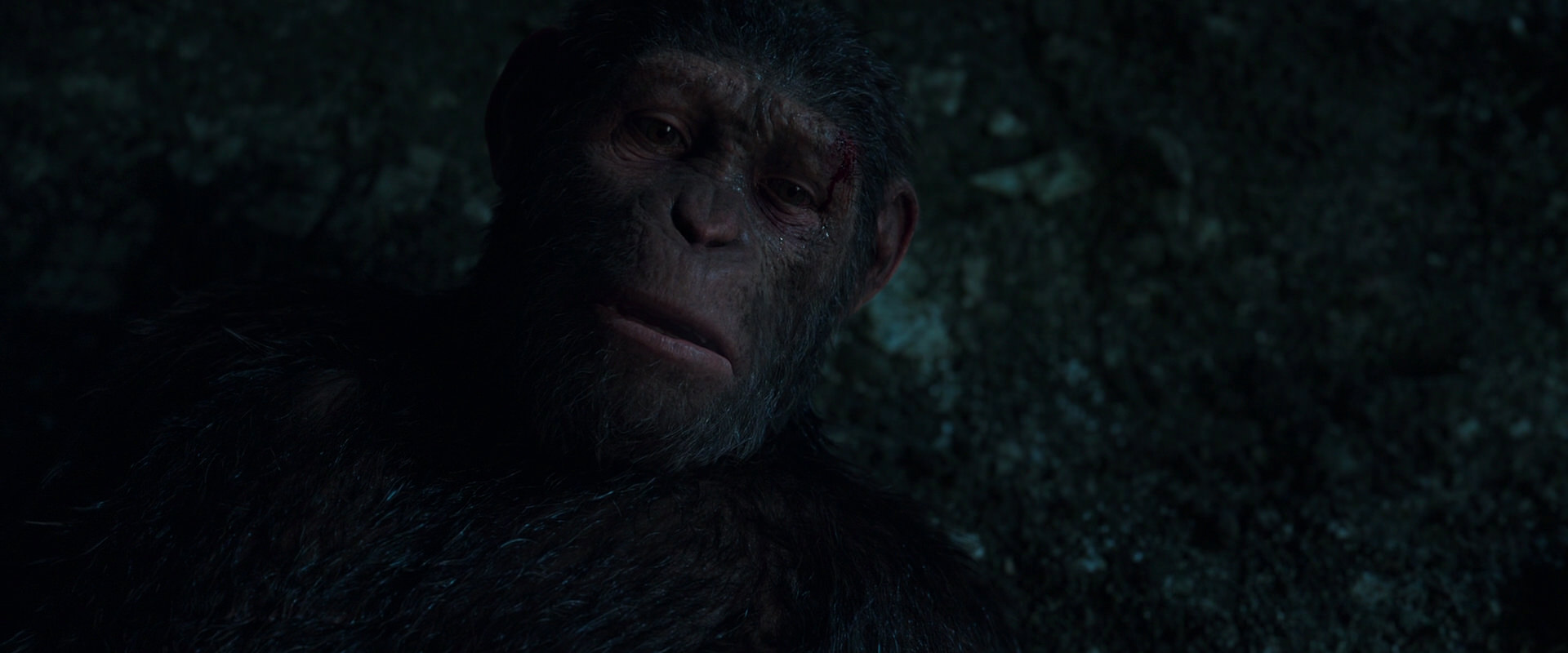 War for the Planet of the Apes (2017) screencap 7665