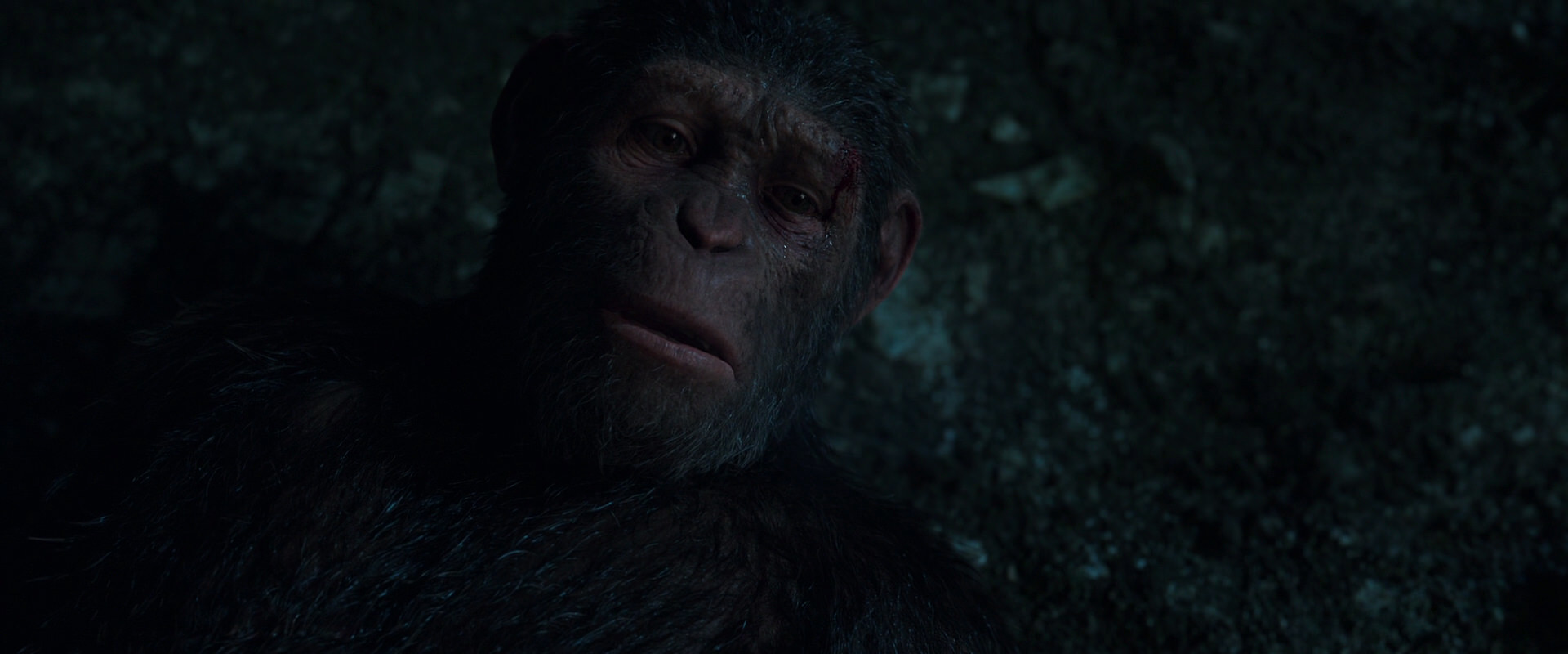 War for the Planet of the Apes (2017) movie still 7666