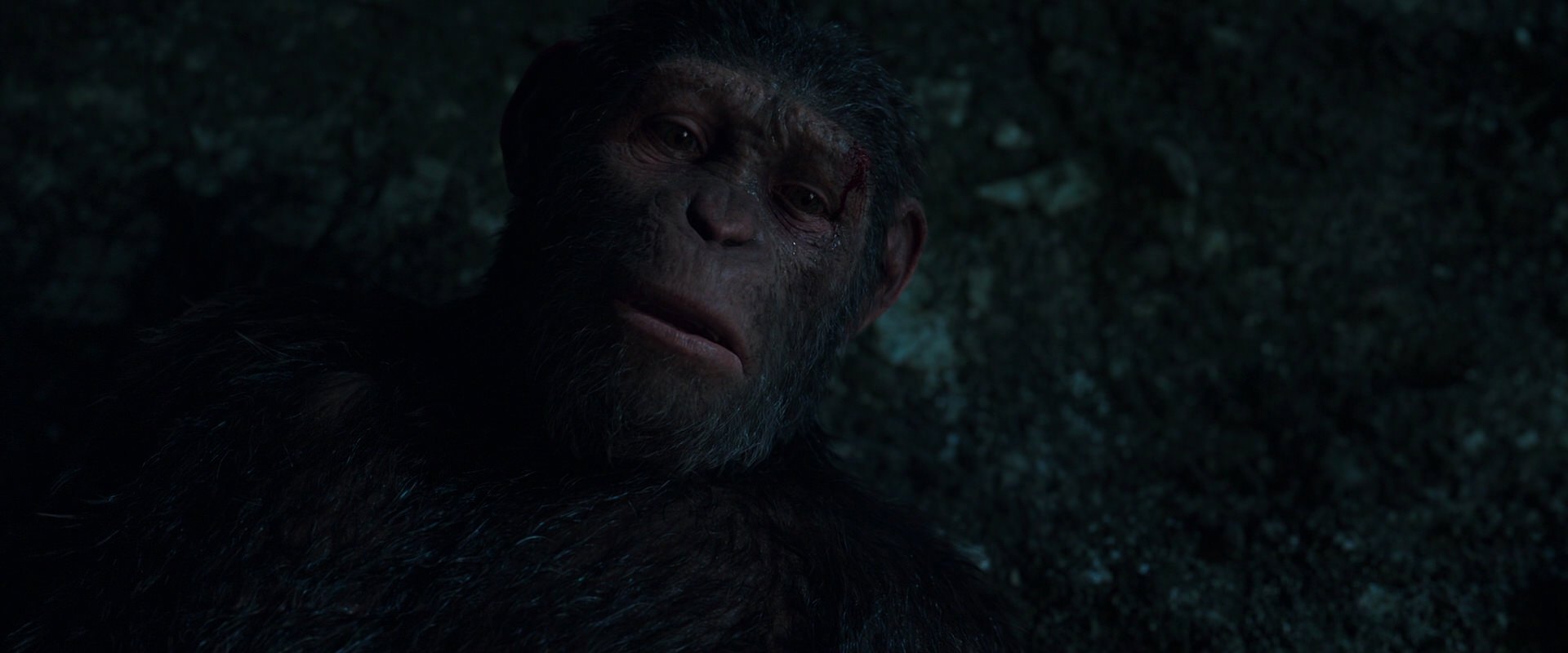 War for the Planet of the Apes (2017) HD screenshot 7667