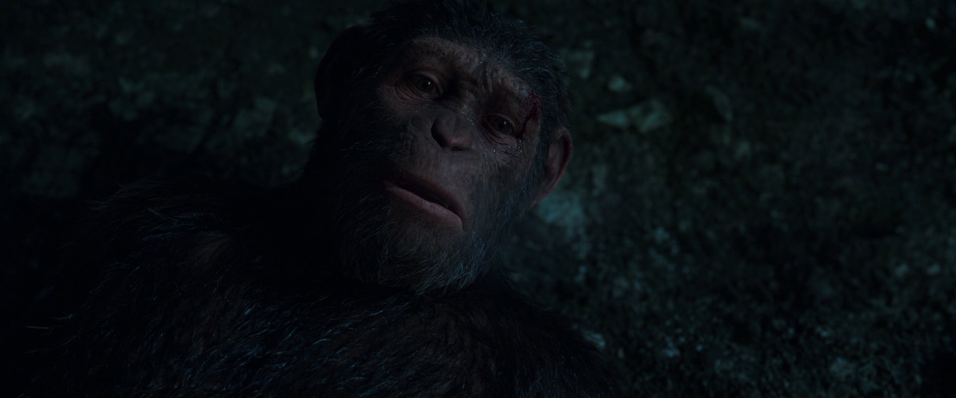 War for the Planet of the Apes (2017) screencap 7668