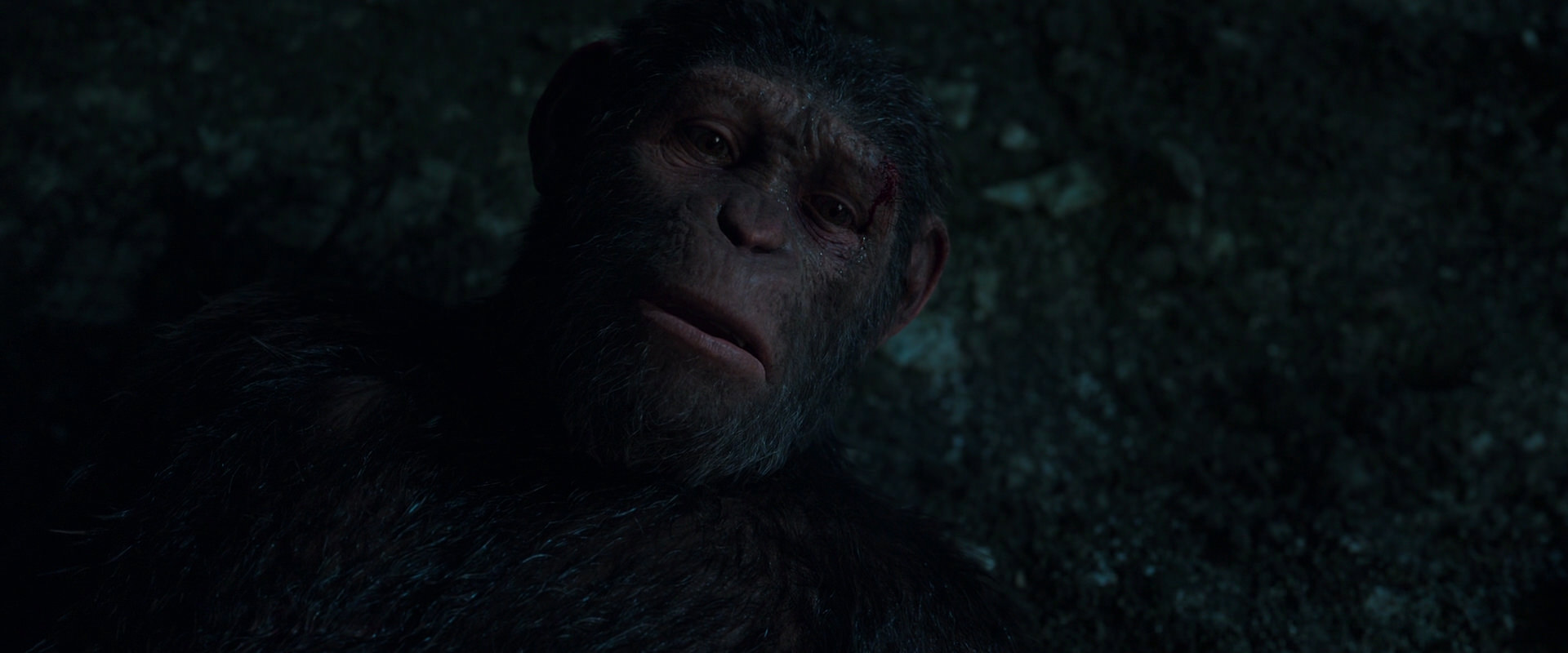 War for the Planet of the Apes (2017) movie still 7669