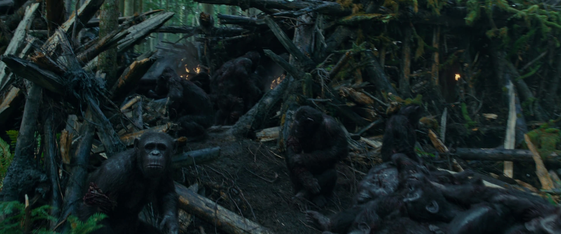 War for the Planet of the Apes (2017) HD screenshot 767