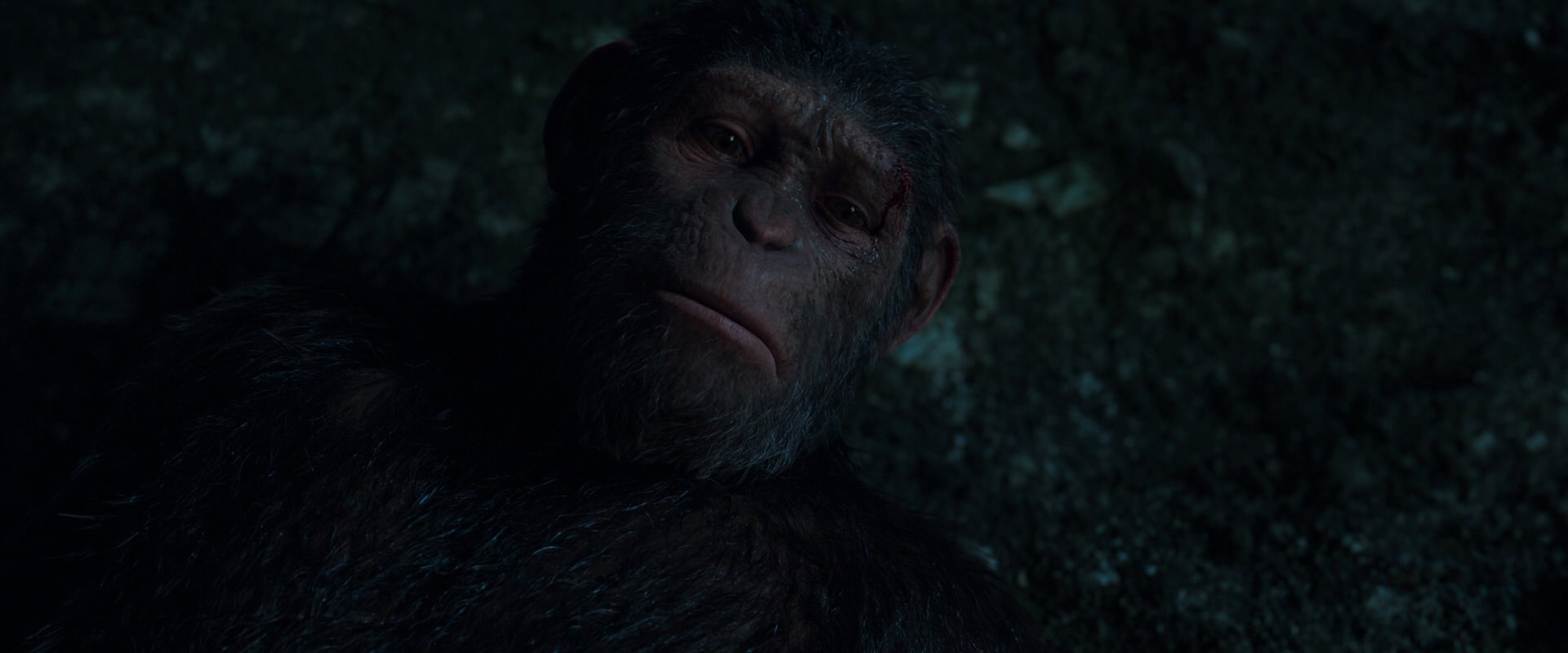 War for the Planet of the Apes (2017) HD screenshot 7670
