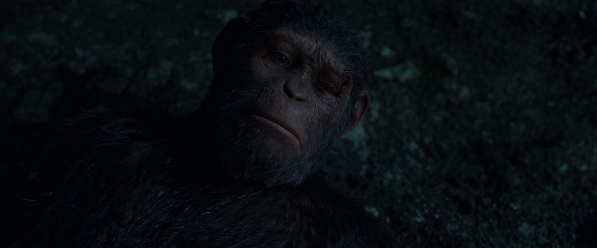 War for the Planet of the Apes (2017) screencap 7671