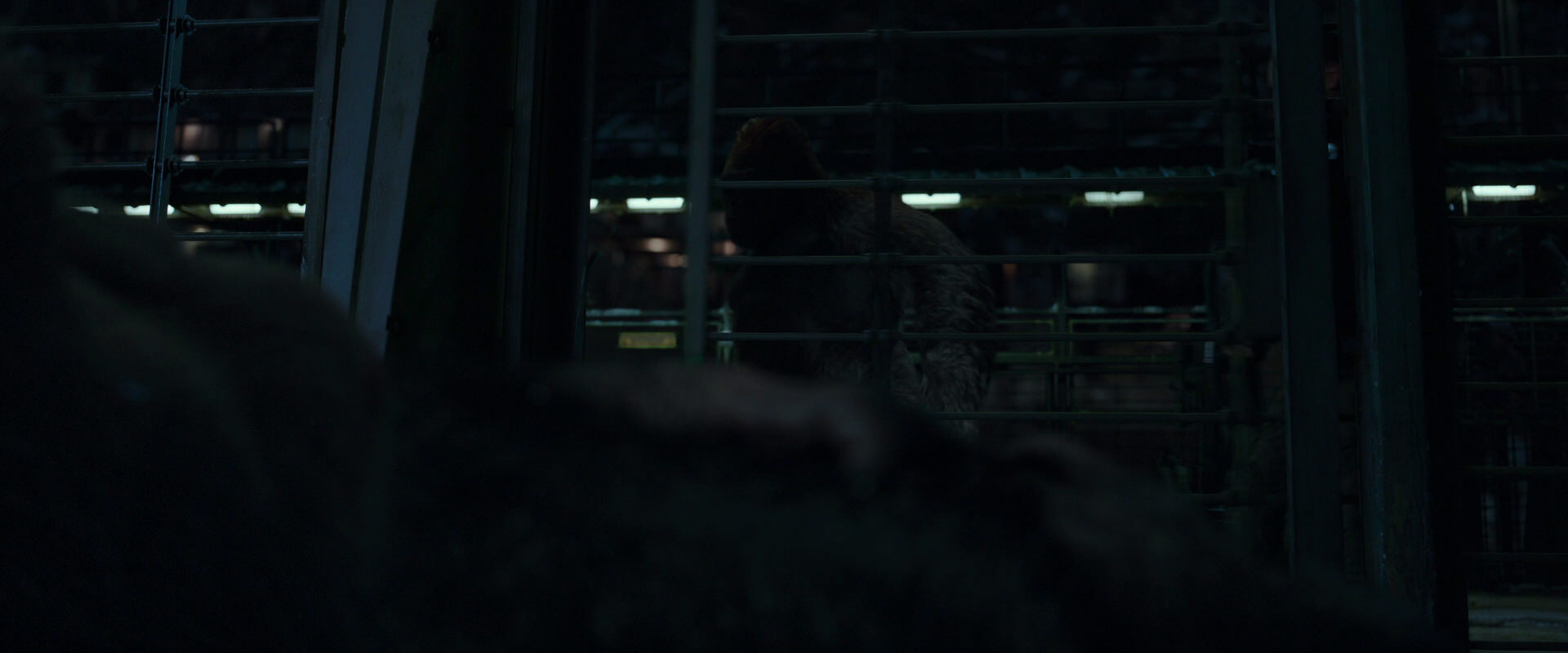War for the Planet of the Apes (2017) movie still 7672