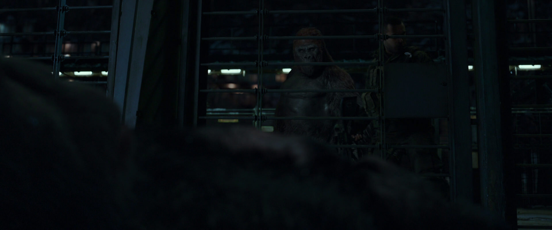 War for the Planet of the Apes (2017) screencap 7674