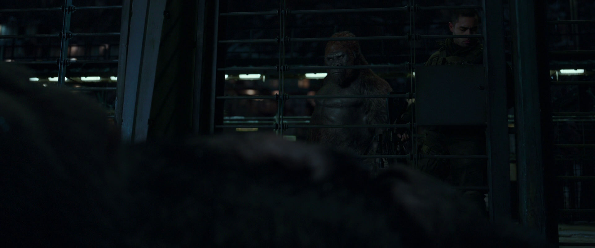 War for the Planet of the Apes (2017) screencap 7677
