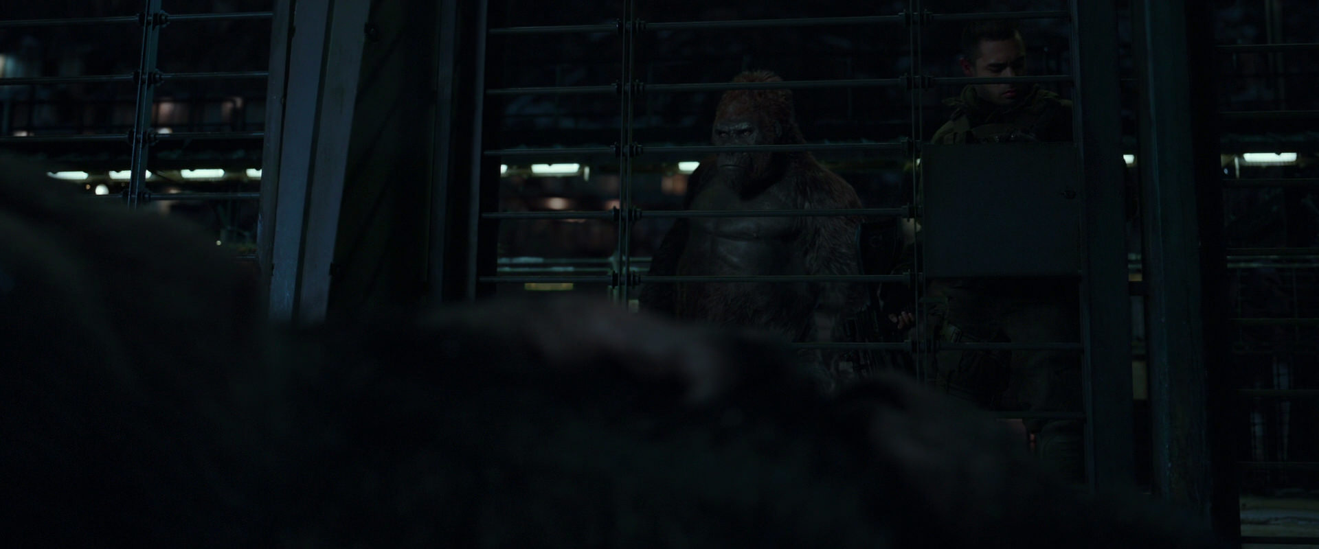War for the Planet of the Apes (2017) movie still 7678