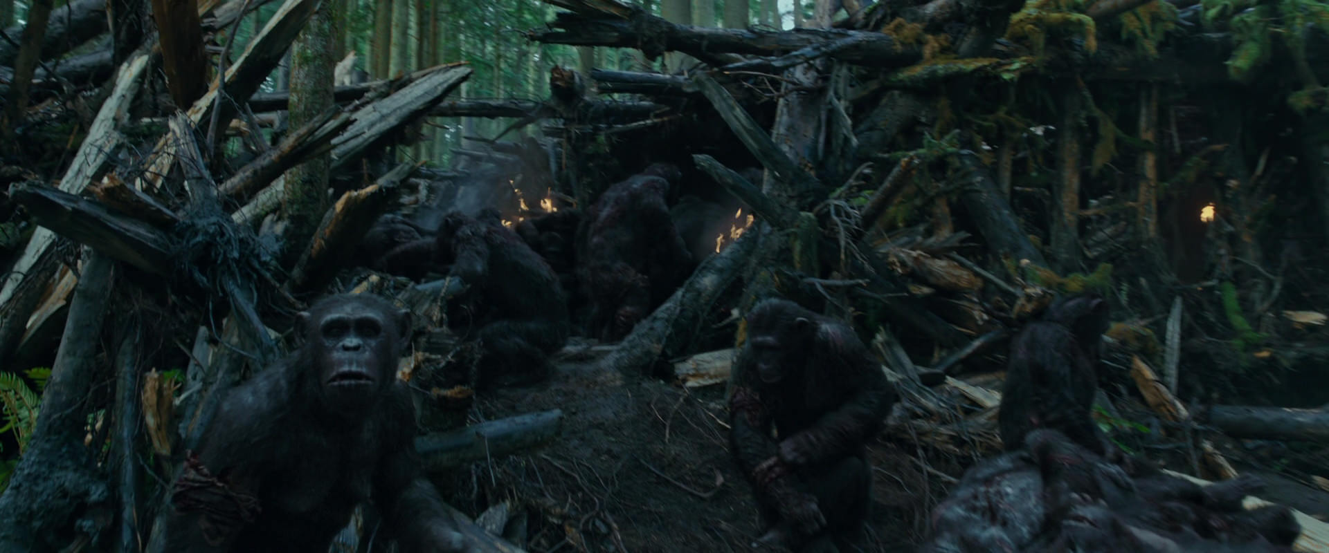 War for the Planet of the Apes (2017) screencap 768