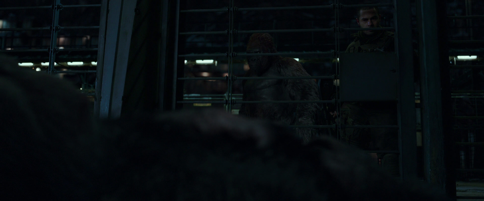 War for the Planet of the Apes (2017) screencap 7680