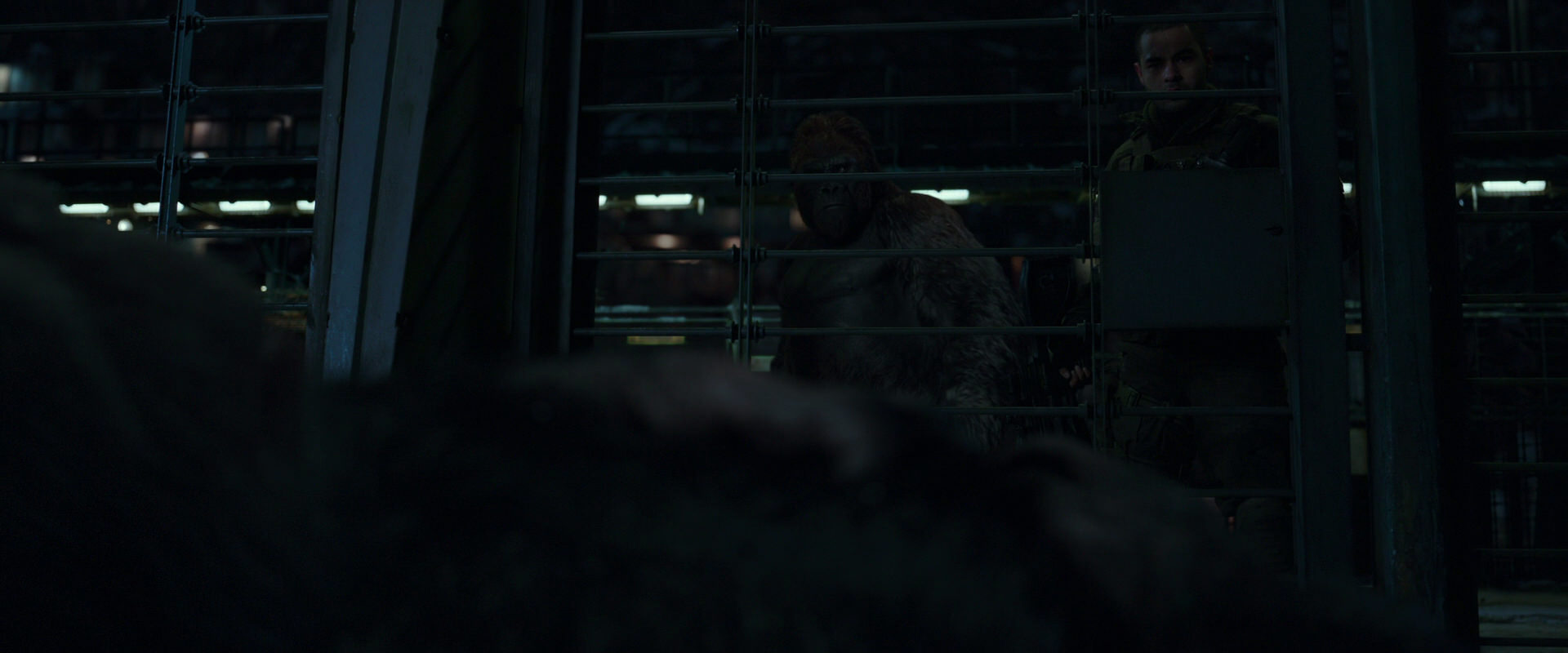 War for the Planet of the Apes (2017) movie still 7681
