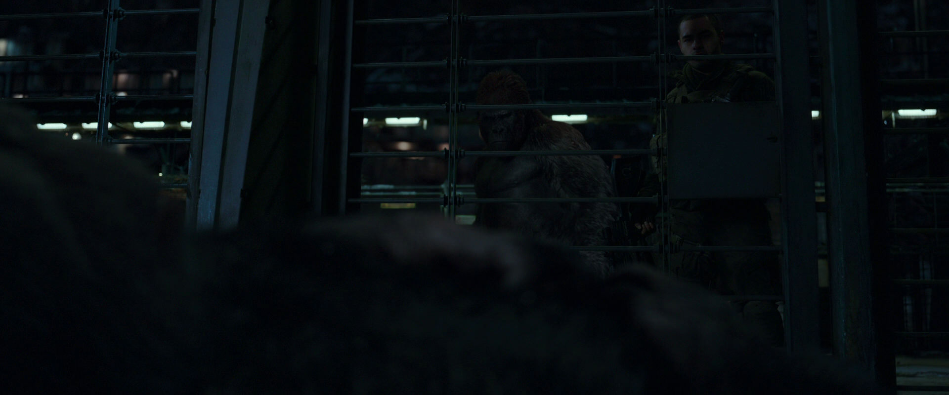 War for the Planet of the Apes (2017) HD screenshot 7682