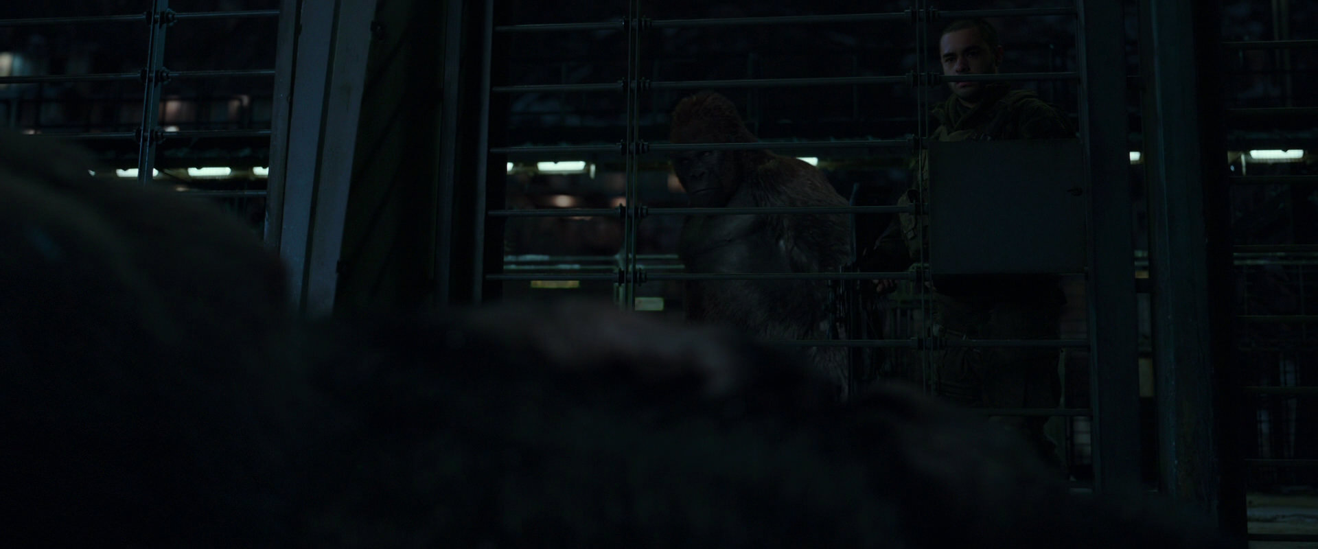 War for the Planet of the Apes (2017) HD screenshot 7685