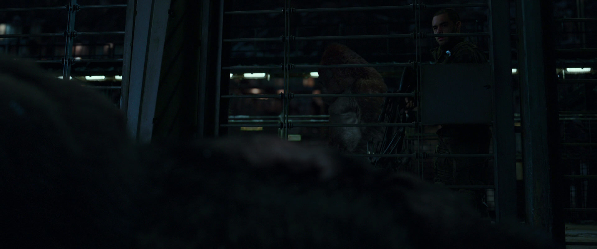 War for the Planet of the Apes (2017) screencap 7686