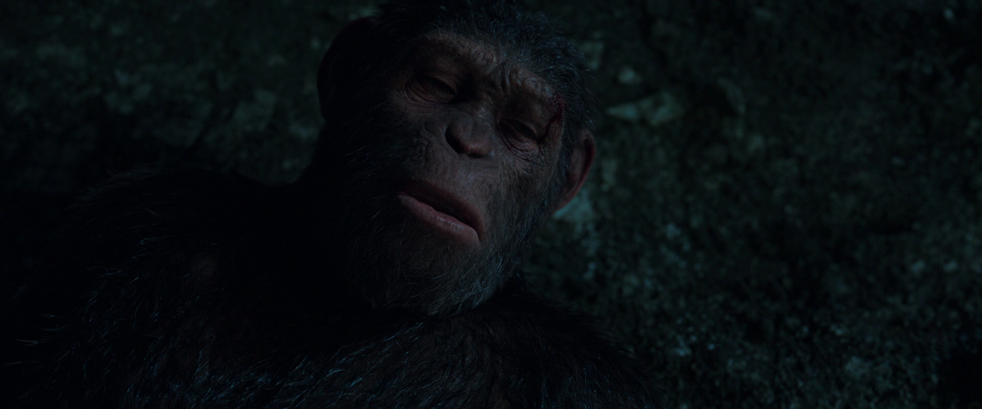 War for the Planet of the Apes (2017) screencap 7689